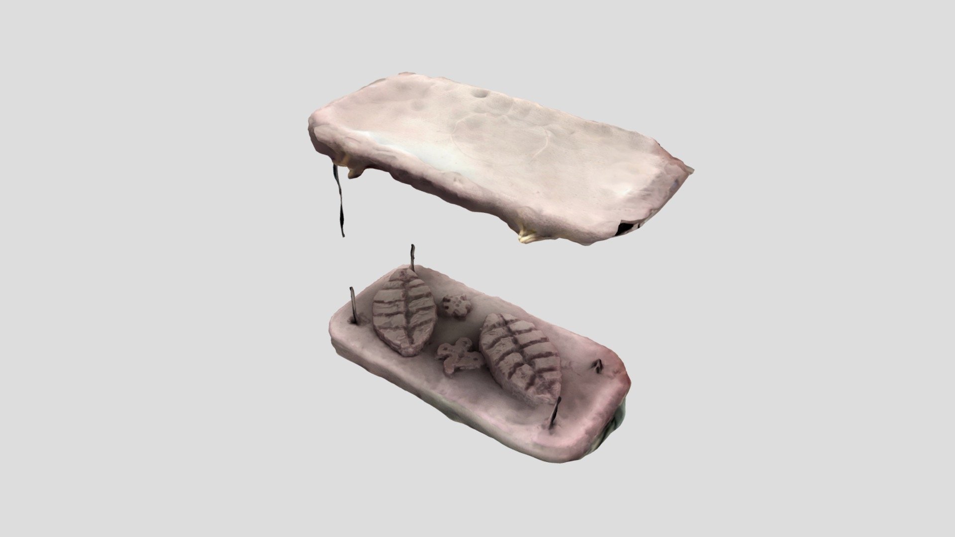 Foam Model 3 [Hanging Plants]