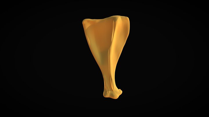 Scapula 3D Model