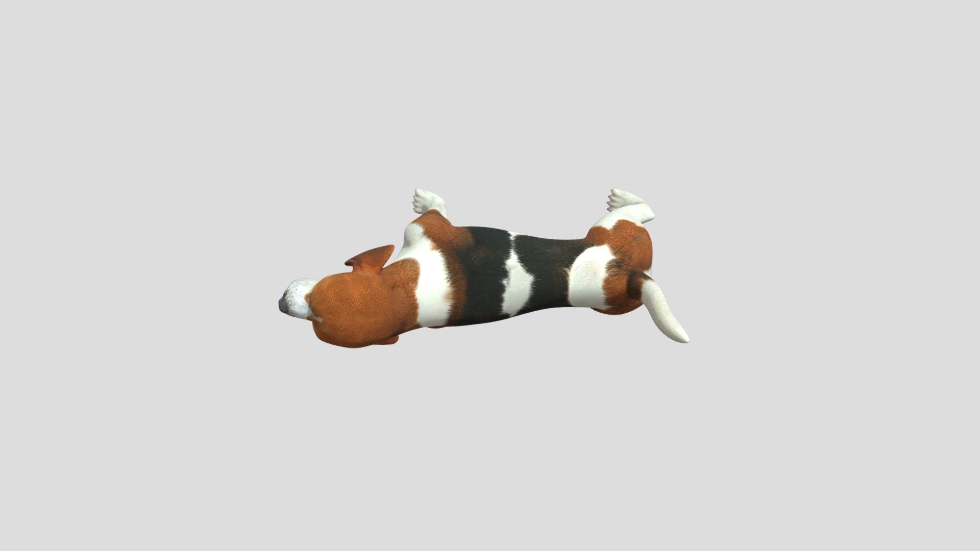 DTS4.2_CUINDA_Y1_PHUGUN_E03_DOG