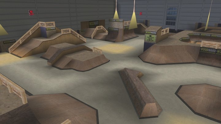 Dave Mirra Freestyle BMX Level Woodward Street 3D Model