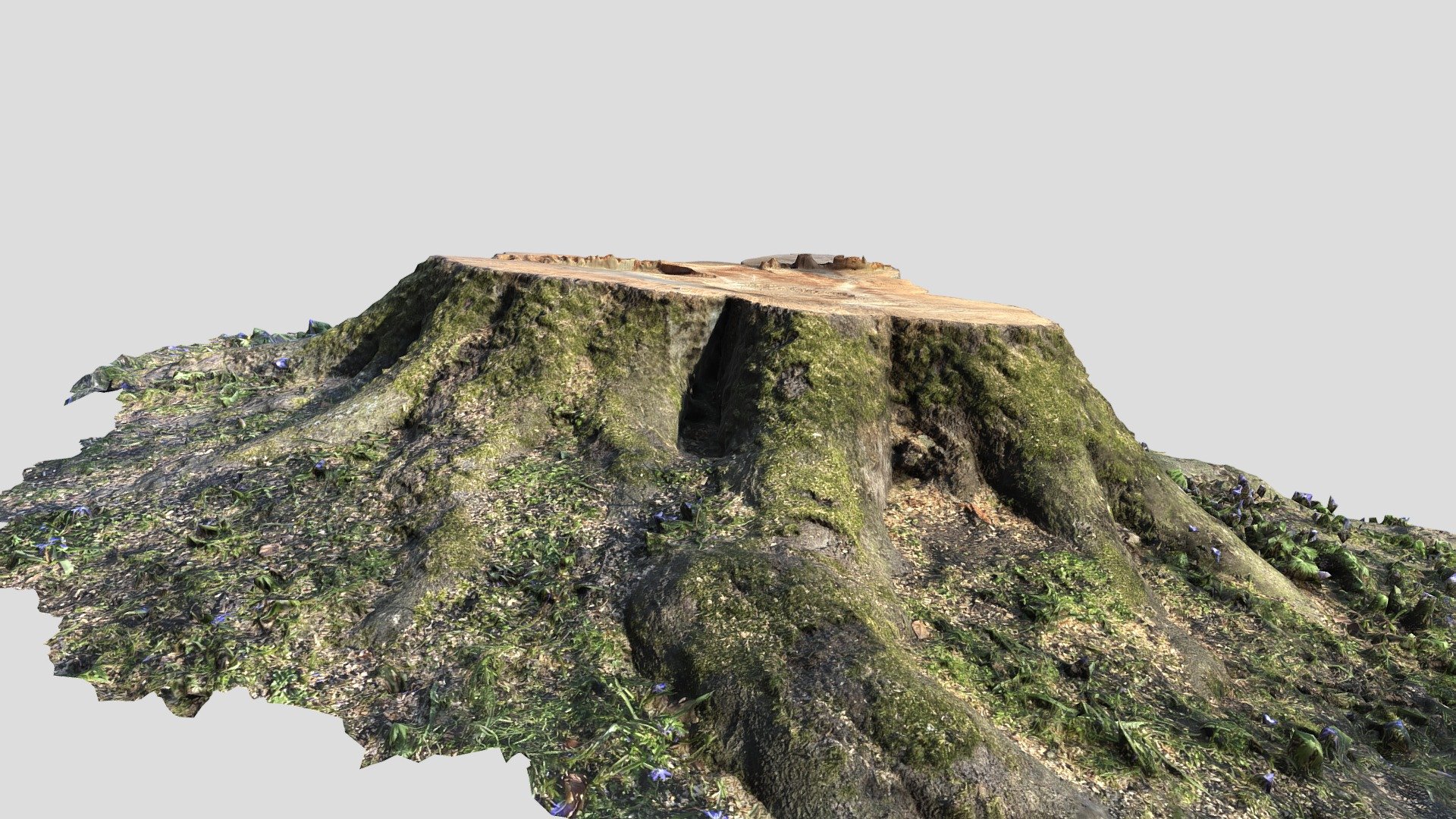 Trunk V2
