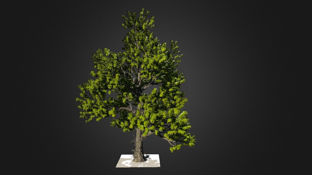 Árbol descarga