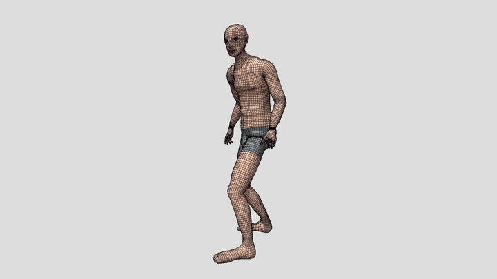Realistic Human (Wireframe) 3D Model