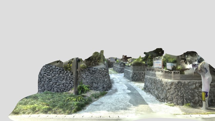 サンゴの石垣：阿伝15:T02 3D Model