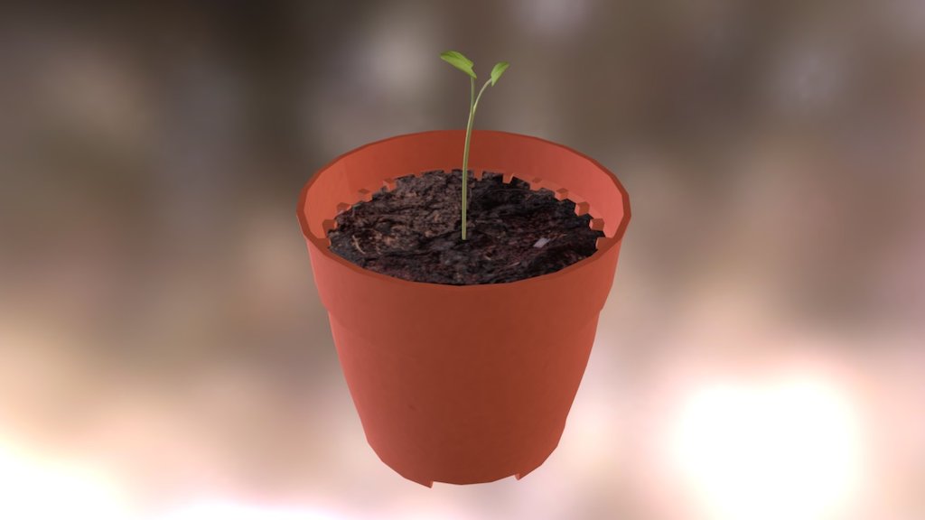 Flowerpot
