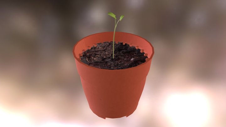 Flowerpot 3D Model