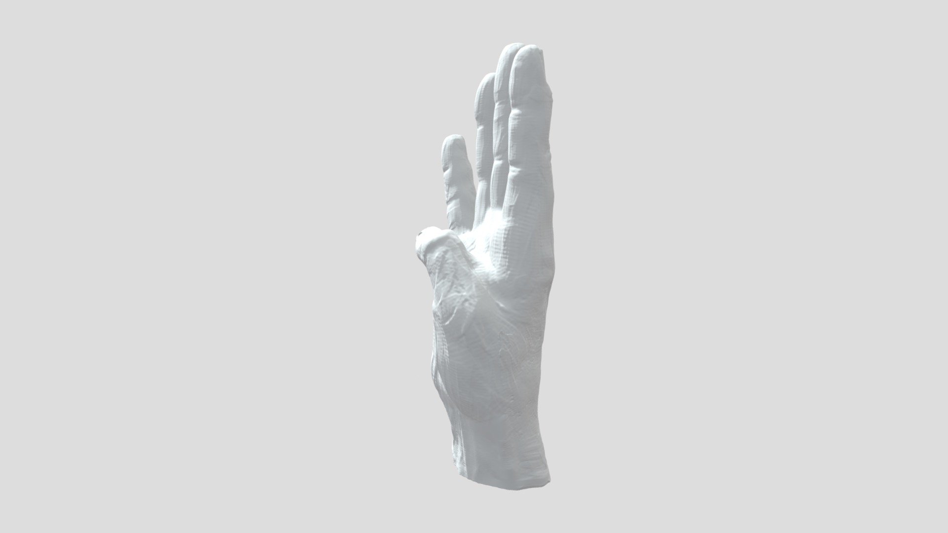 Left_hand23mm - 3D model by Capture It In 3D (@CaptureMeIn3D) [51041e5 ...