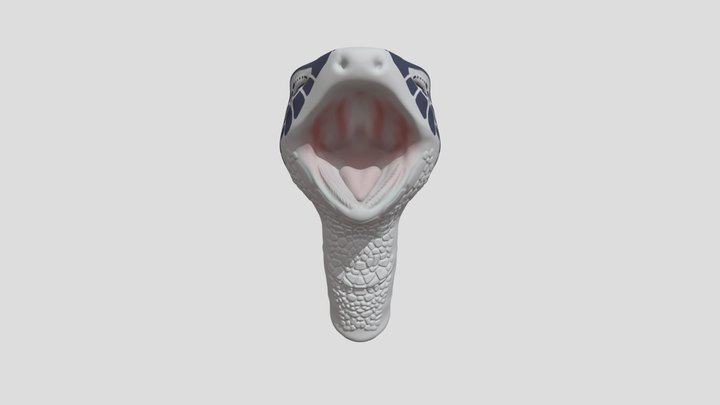 Turtle Head 3D Model
