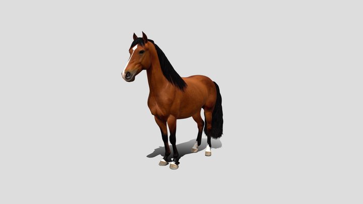 Chestnut Majesty Horse 3d model free