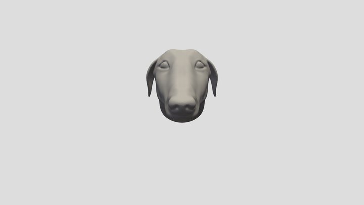 Borzoi dog large face meme 3D Model