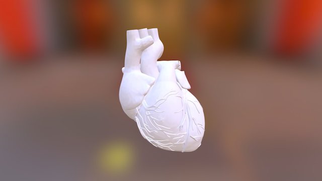 Heart Example 3D Model