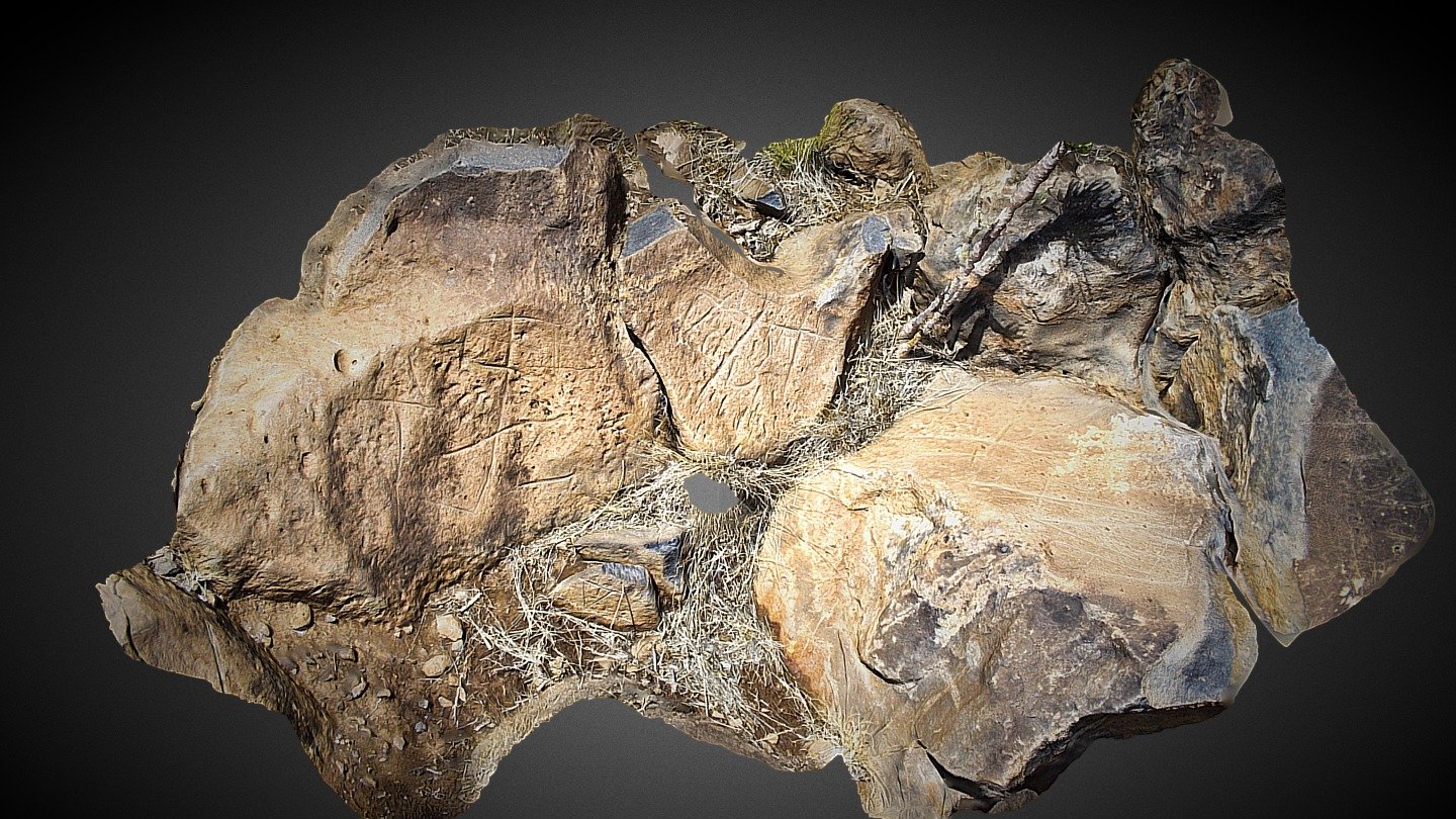 Panel de Grabados Rupestres 2.
