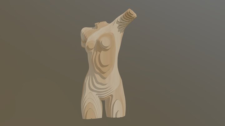 Torso 2 Aug 2017 3D Model