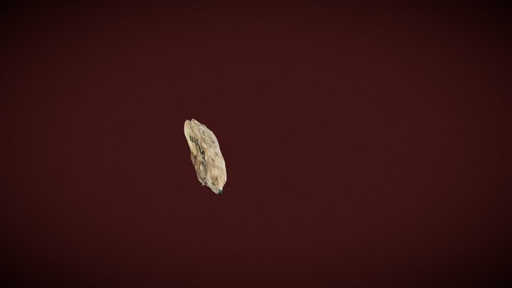 GerdineOosterwijk_Scraper 3D Model