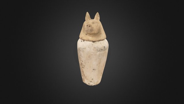Canopic Jar: Duamutef 3D Model