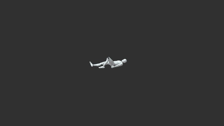 Sleeping On His Back 2 3D Model