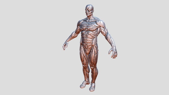 UMesh_alloHead 3D Model