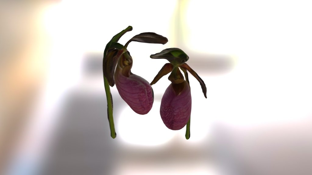 Smoothie-3D upload