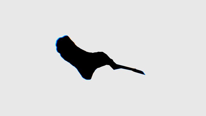 Anna’s foot 3D Model