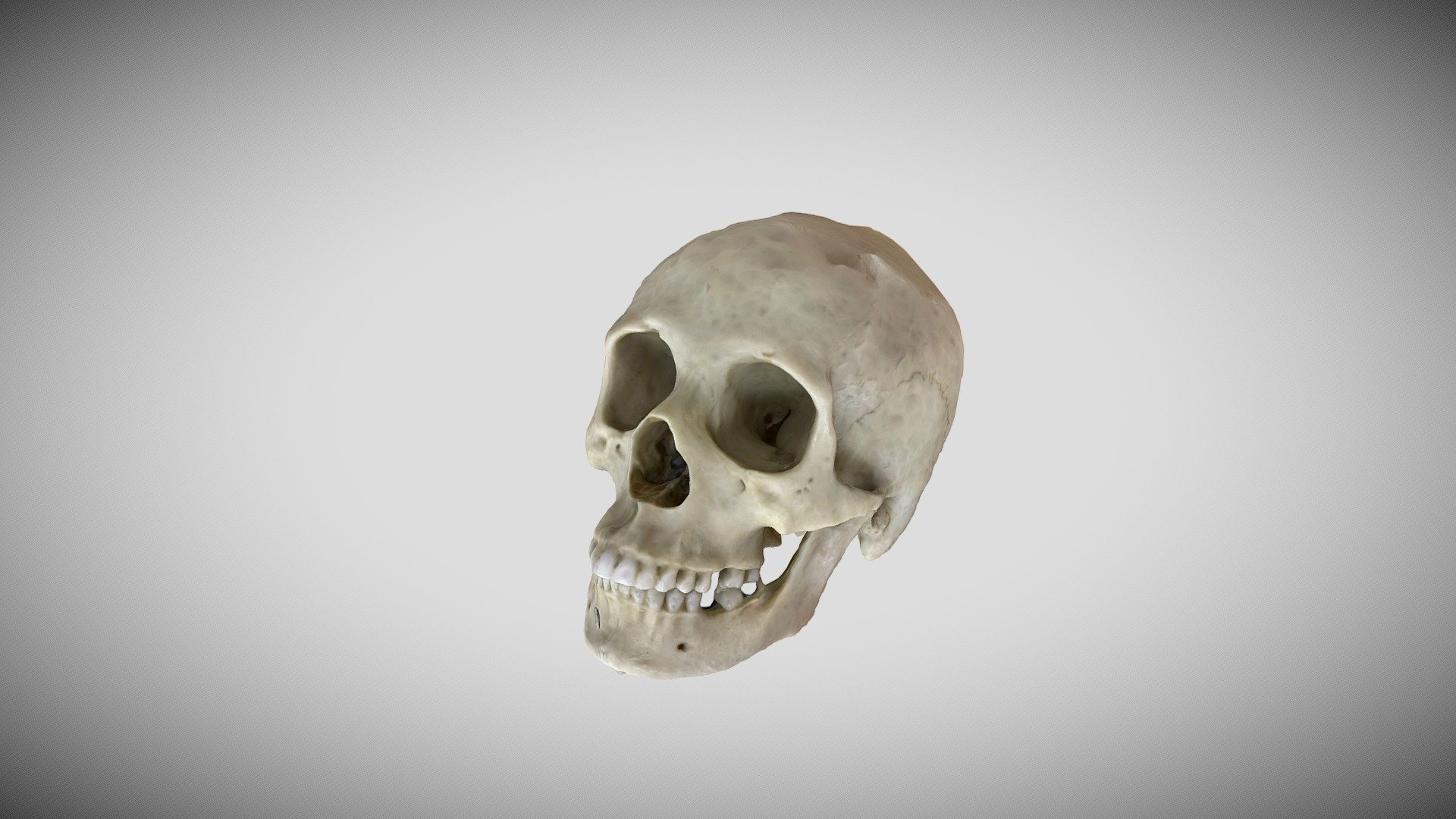 Skull Mod 8