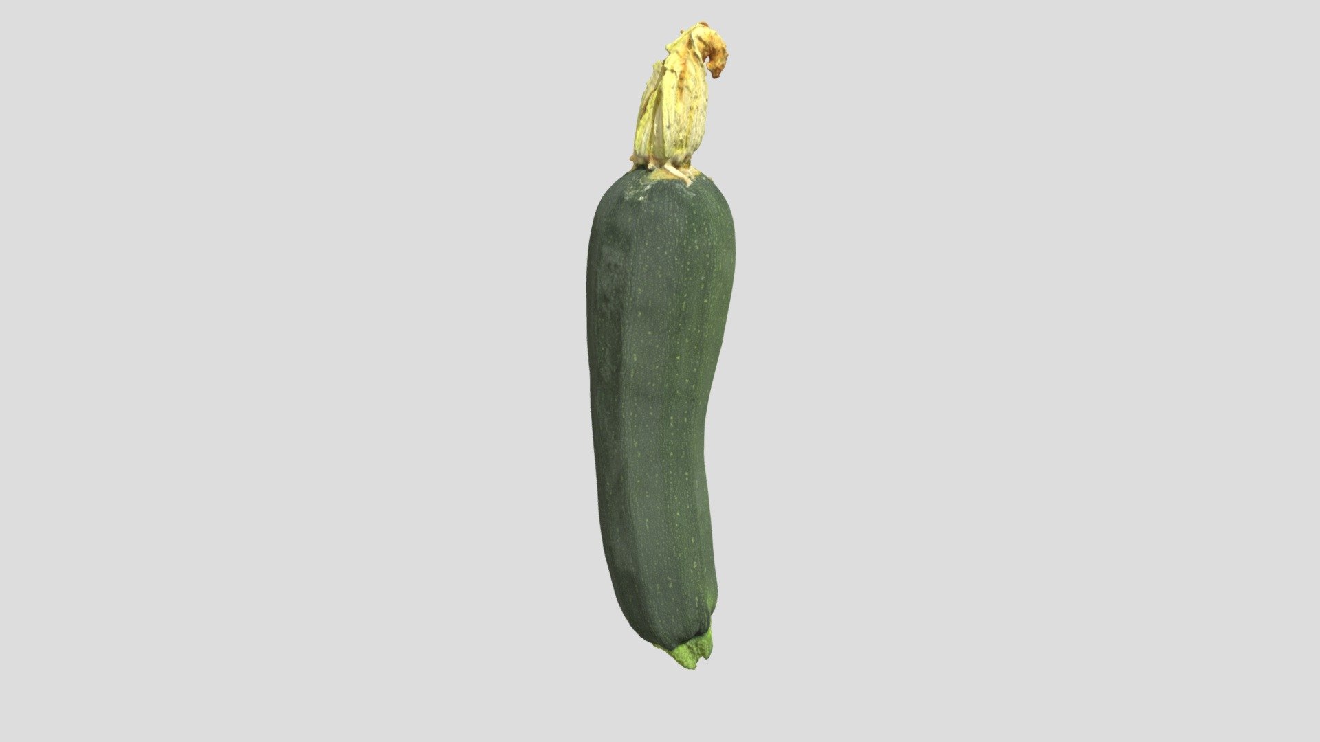 zucchini