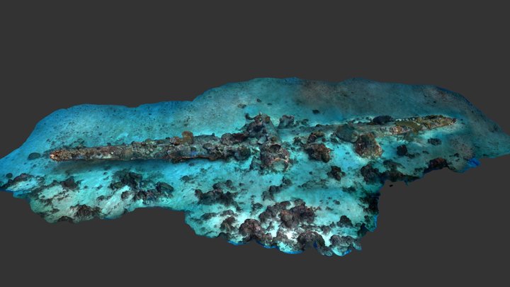 B-24 Wreckage, Solomon Islands 3D Model
