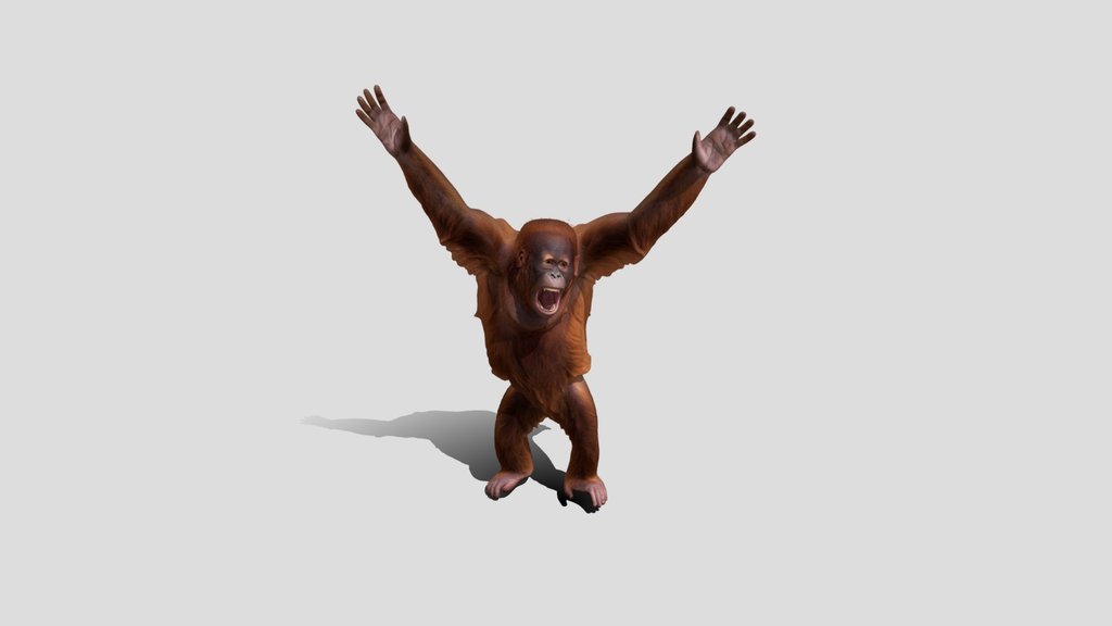 Joyful Orangutan with Raised Arms