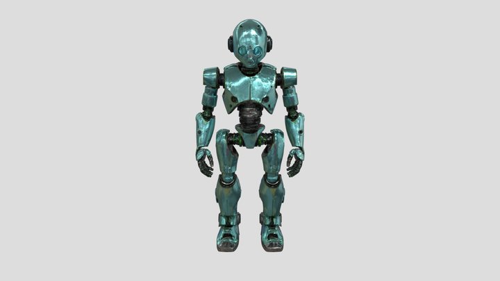 un robot humanoide, de cuerpo entero 3D Model