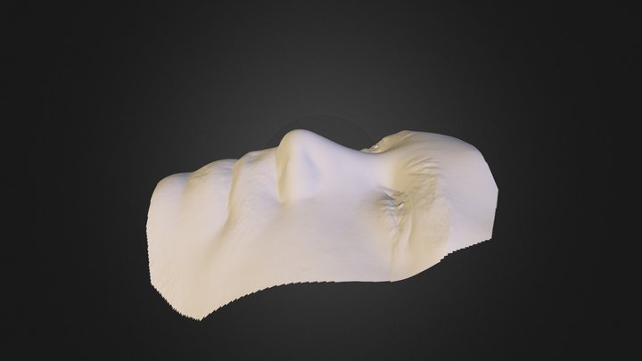 00000473 Face Scan Fuel3D 3D Model