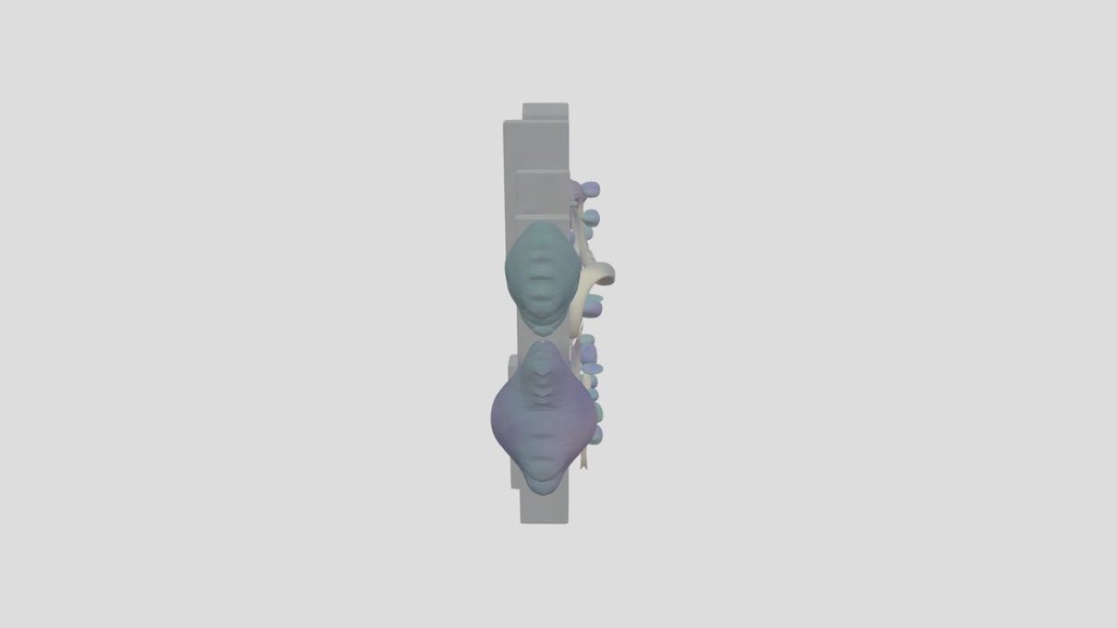 Concept Model