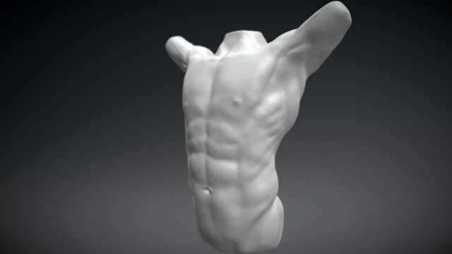 Torso Arms Up 3D Model