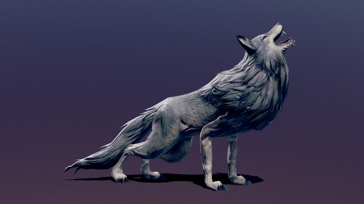 Wolf Animated 3D Model
