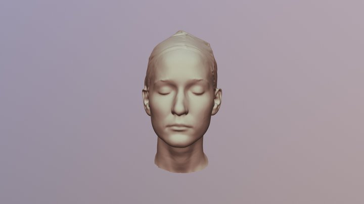 Eva_3DScan_Head 3D Model