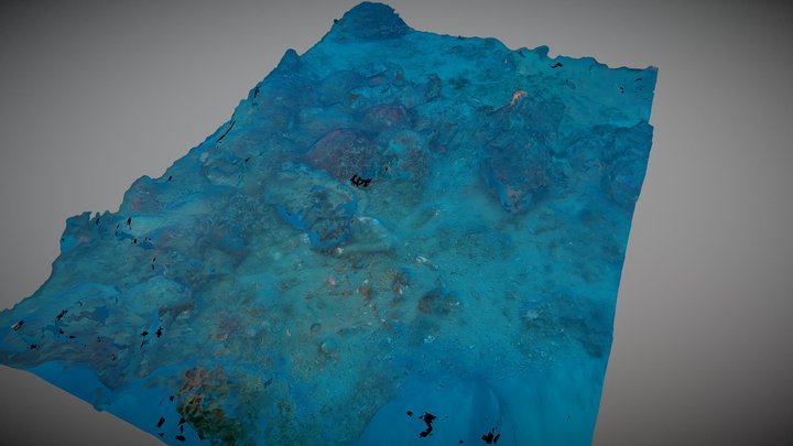 Monterey Bay Municipal Wharf - Trident Footage 3D Model
