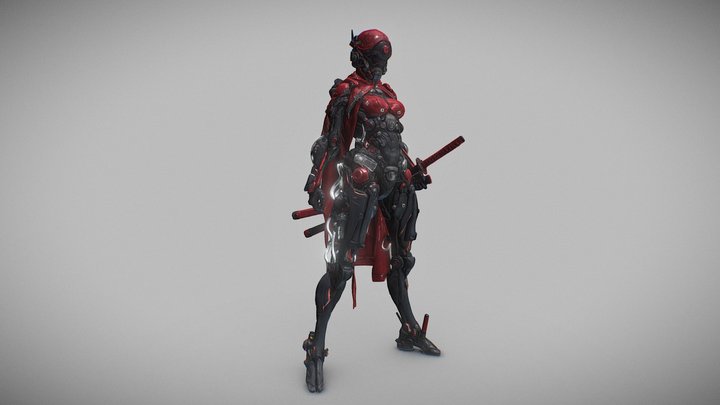 Cyber Warrior