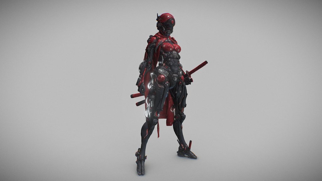 Cyber Warrior