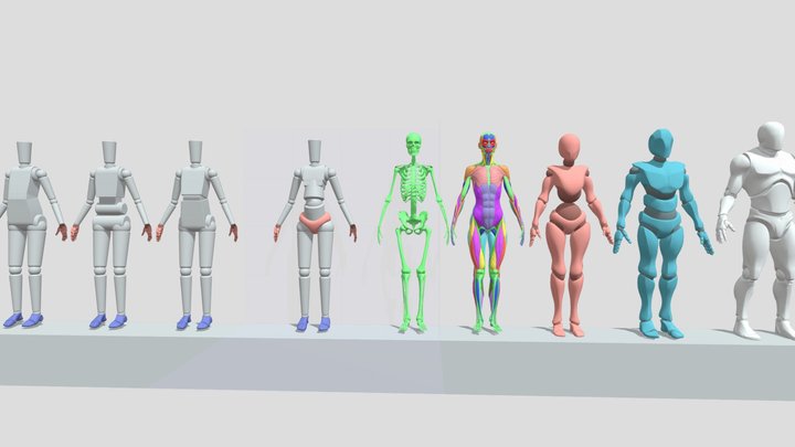 L6dlc人体体块的演变 3D Model