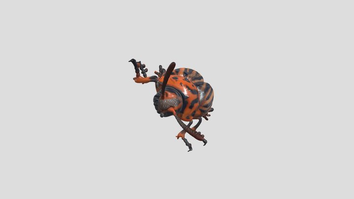Colorado potato beetle 3D Model