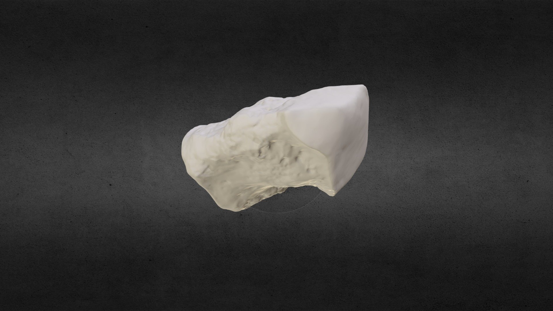 Loxodanta africana (elephant) R Trapezium