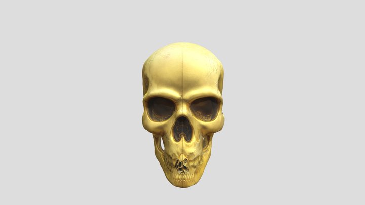 Golden Human Skull 3D Model