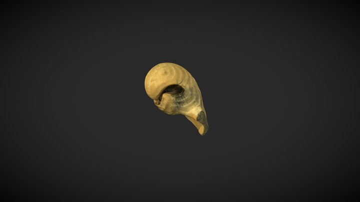 4 3D Model
