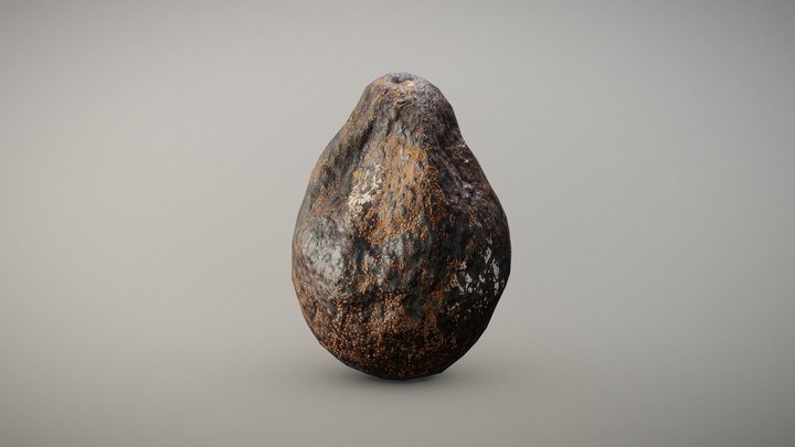 Expired Mexican Avocado – Modello 3D gratuito STL