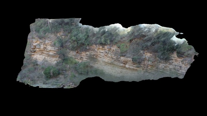 Delta front deposits 3D Model