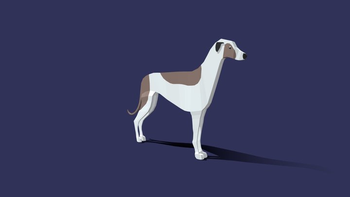 Greyhound Low Poly 3D Model