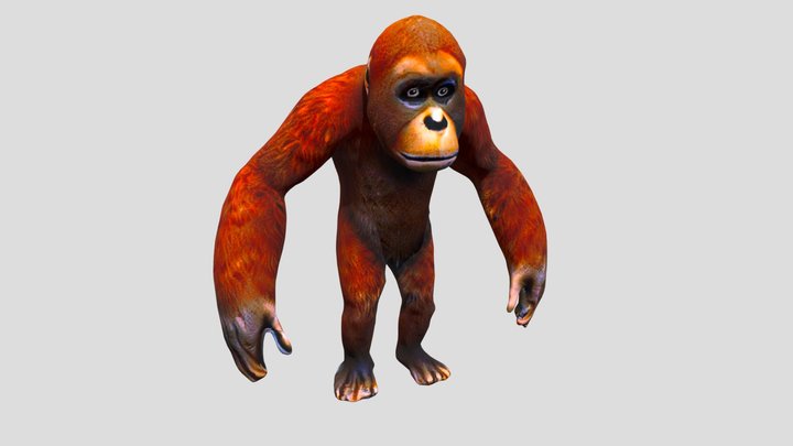 Orangutan Monkey 3D Model