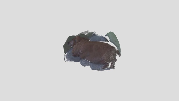My Dooooooooog 3D Model