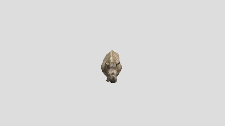 Gray Rhino 3D Model