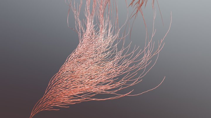 Collatz Conjecture in 3D