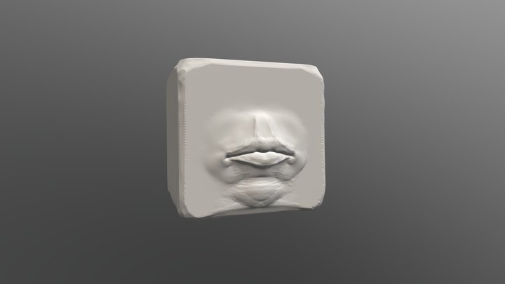 Mouth Study 3D Model