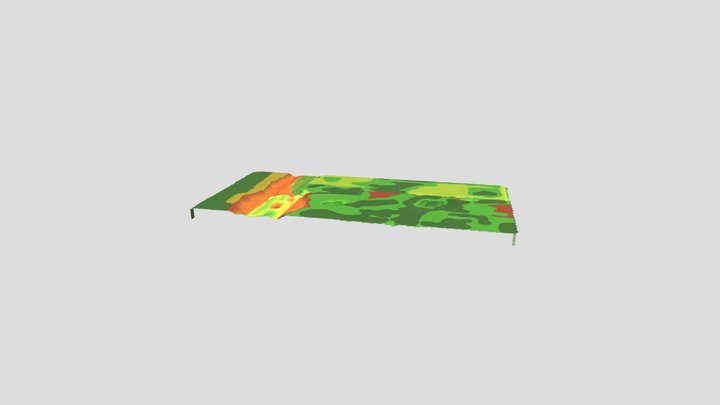 Campo_WE_DG 3D Model